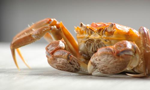 d89559d6fff3c.jpg