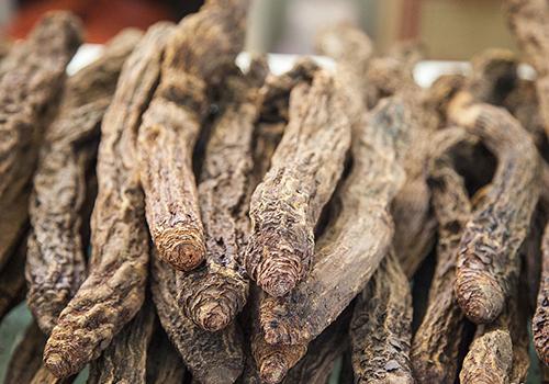 锁阳泡水喝多久见效