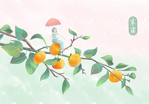 今年什么时候霜降和白露 41495746faec8.jpg