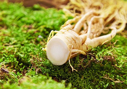 鲜人参放冰箱冷冻行吗 鲜人参放冰箱能放多久 乐哈健康网