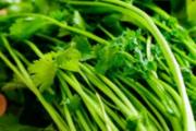 香菜杀精是真的吗 感冒可以吃香菜吗