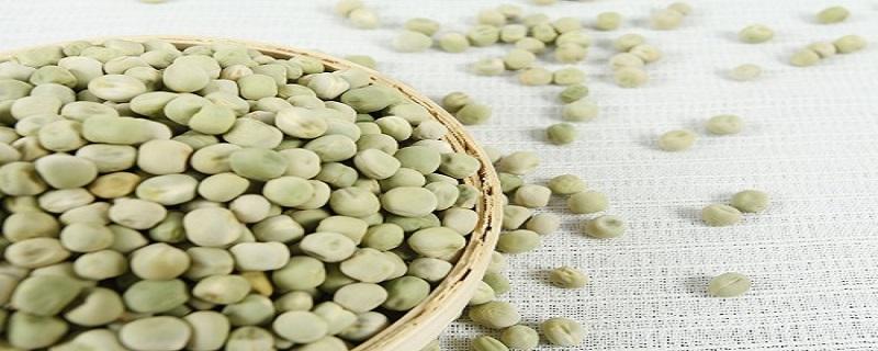 豌豆可以打豆浆喝吗