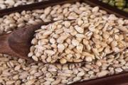 糙米能代替主食吗 糙米当主食可以减肥吗