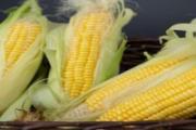玉米须降血糖效果好吗 玉米须怎么煮水降血糖