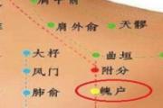 魄户准确位置图和作用 魄户疼痛什么原因