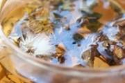 蒲公英根怎么处理才能泡水喝 蒲公英根可以长期喝吗
