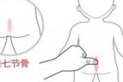 七节骨的准确位置图 七节骨推拿示意图