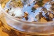 蒲公英和枸杞泡水喝的功效 蒲公英和枸杞泡水喝的比例
