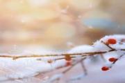 大雪节气怎么养生 大雪节气吃什么菜最养生