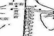 臑俞准确位置图 臑俞疼痛的原因