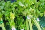 芹菜怎么选嫩的 吃芹菜有什么好处