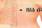 膈俞的位置 膈俞的作用与功效