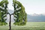 肺怕什么 养肺要注意的生活细节
