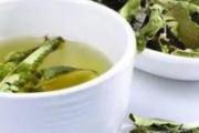 车前草茶有什么功效 车前草茶可以长期饮用吗