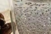 喝一周奇亚籽能瘦多少 奇亚籽怎么吃才能减肥