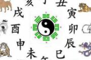 肺经排毒时间