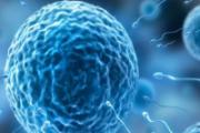 精子稀少是什么原因 揭秘让男人精子稀少的六个真相