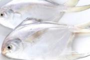 头发干枯发黄吃什么好 头发的6个食物伙伴
