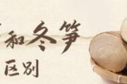 春笋和冬笋的区别 春笋和冬笋是同一颗竹子长的吗