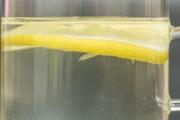 柠檬蜂蜜水减肥用什么水泡 柠檬蜂蜜水怎么泡