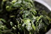 菊花脑不能和什么一起吃 菊花脑的饮食禁忌