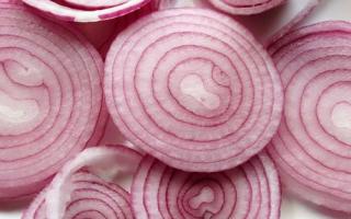 明虾好还是基围虾好,明虾和基围虾哪个贵