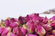玫瑰花茶便秘可以喝吗 便秘喝玫瑰花茶会怎样