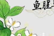 鱼腥草根好还是叶子效果好 鱼腥草煮水用根还是叶