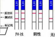 排卵试纸强阳后多久排卵