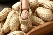 减肥把坚果换成花生可以吗 减肥期间可以吃什么坚果
