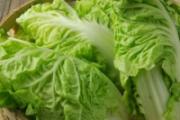 白菜有什么功效与作用 白菜怎么吃最好