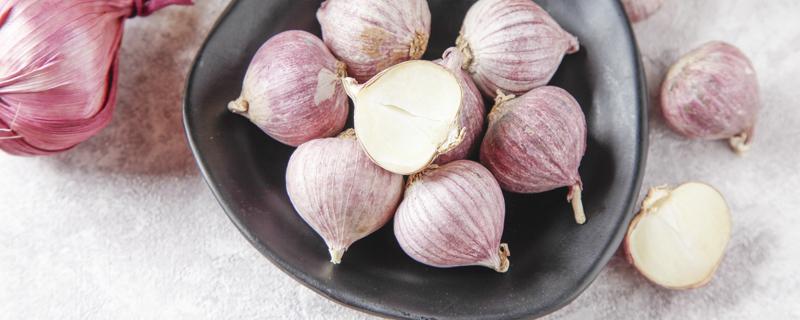 大蒜冰糖水的禁忌