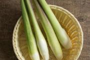 茭白放冰箱里保存可以吗 茭白怎么保存时间长