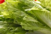 生菜怎么清洗比较干净 怎样正确挑选生菜