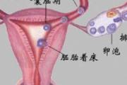 输卵管堵塞做什么检查项目