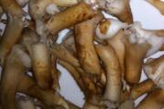 香菇根有毒吗