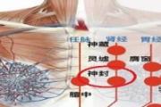 神封的准确位置视频 神封位置图作用