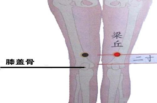 梁丘的定位和主治 梁丘按摩手法 乐哈健康网