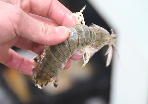 皮皮虾蒸多长时间 皮皮虾冷水蒸还是热水 乐哈健康网