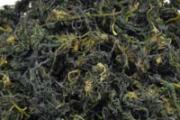 荠菜可以晒干存放吗 怎么晒干？可以放多久？