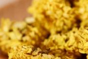 什么菊花茶养肝明目最好 菊花蒲公英能一起喝吗