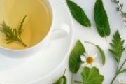 秋燥喝什么茶最好