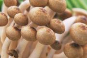 舌癌手术后吃什么好