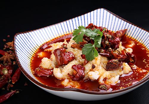 龙利鱼为什么那么便宜 龙利鱼与巴沙鱼的区别 乐哈健康网