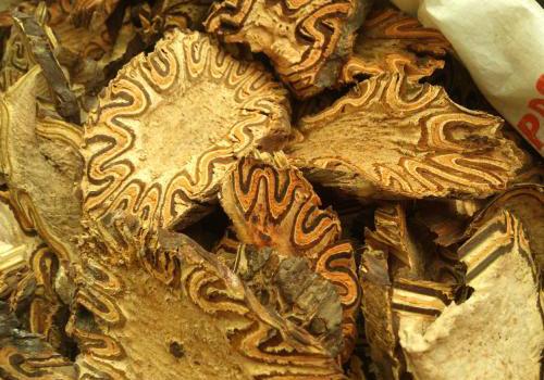 飞天蠄蟧的功效与作用