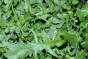荠菜焯水多长时间 荠菜焯水后用不用过凉水