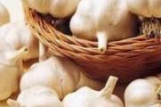 大蒜发芽能吃吗 发芽后的大蒜有哪些保健功效
