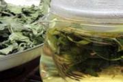 蒲公英茶可以长期饮用吗 蒲公英茶多喝会中毒吗