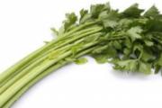 吃什么食物可以排毒 9种食物女人要多吃