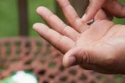 护手霜保质期一般多久 护手霜开了保质期多久